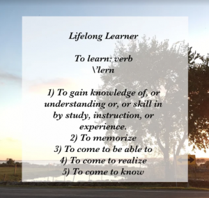 lifelong learning definition of to learn