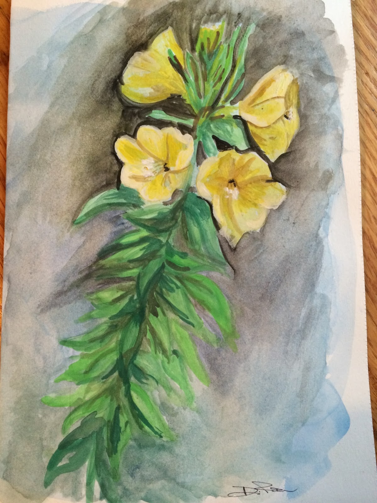primrose flower essence
